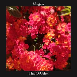 Cover of Play Of Color