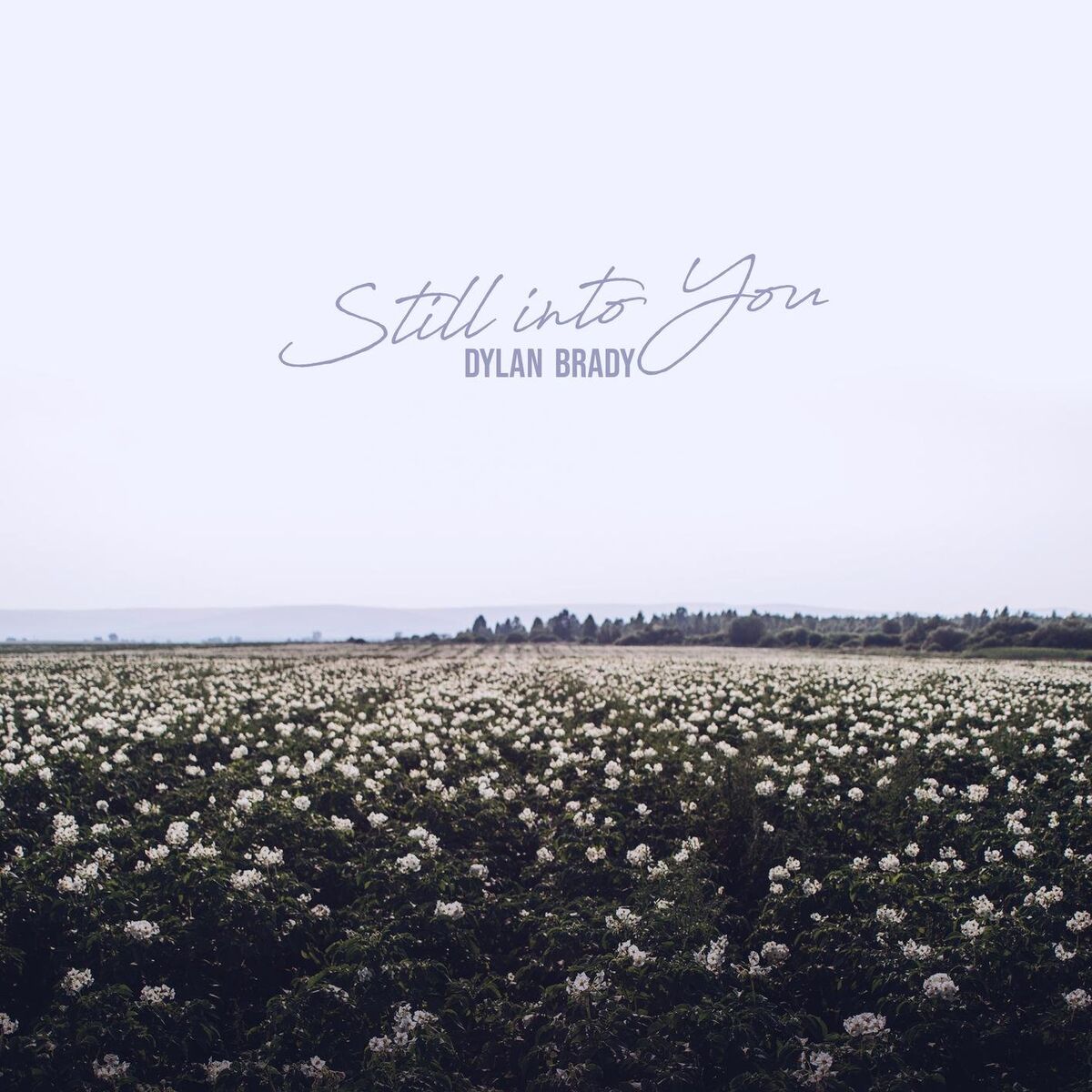 Album cover of Still Into You