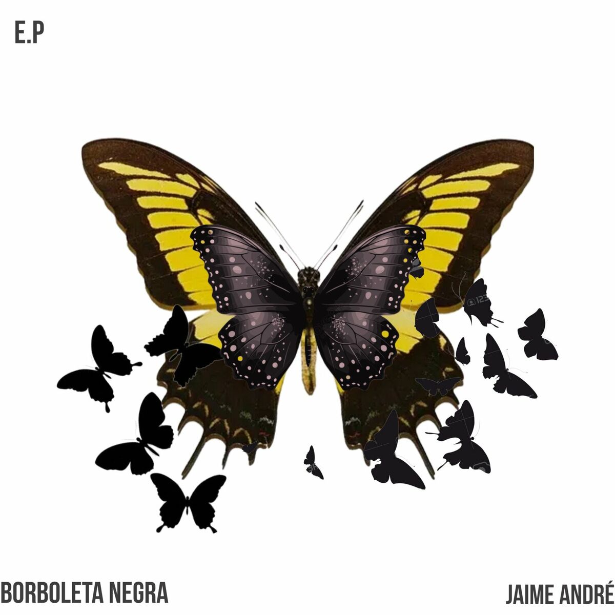 Album cover of Borboleta Negra