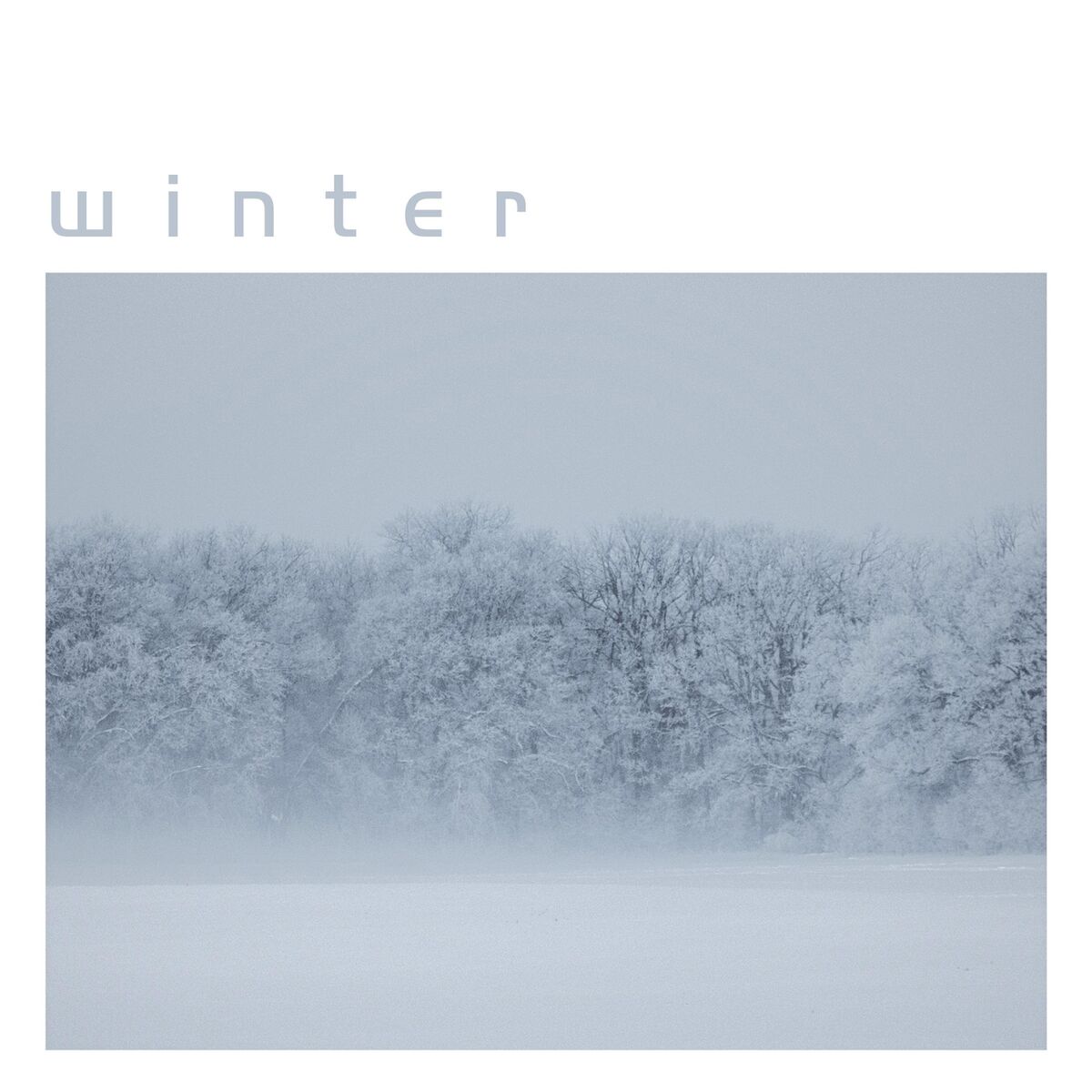 Album cover of Star of Wonder