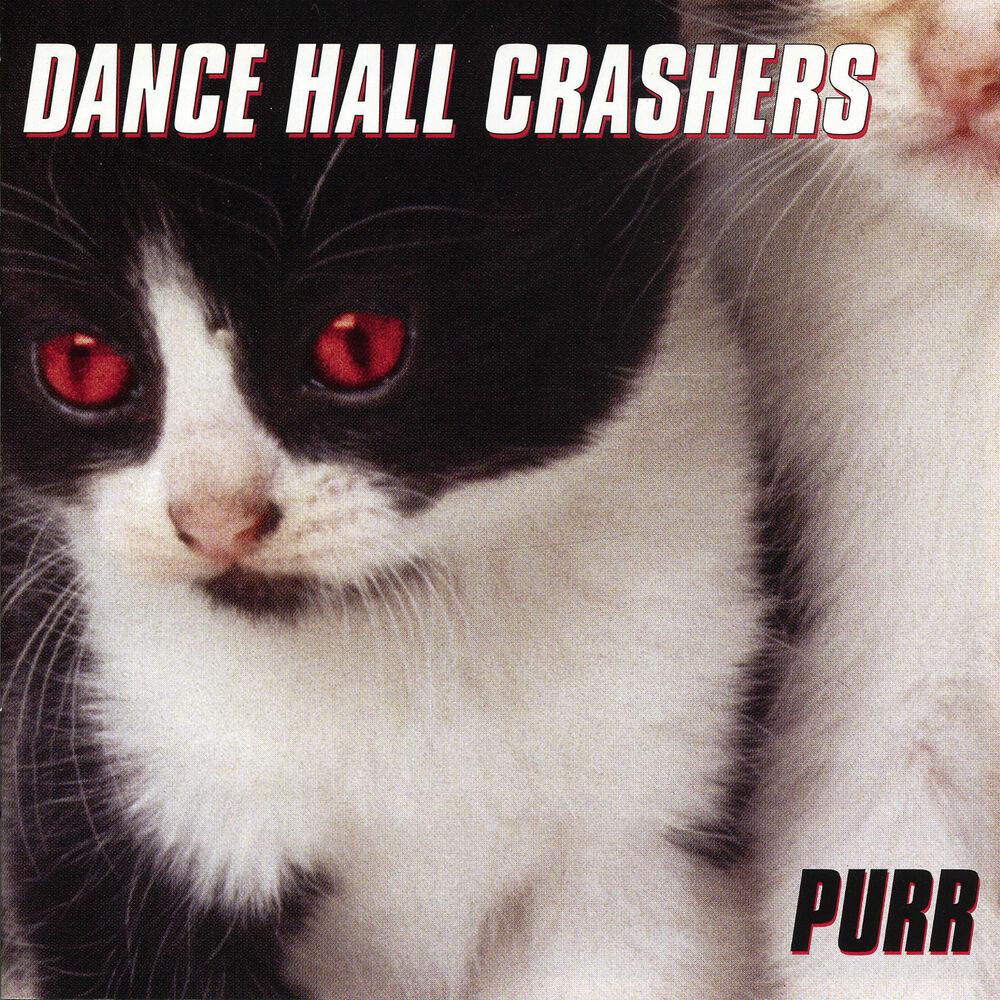 Picture of Purr