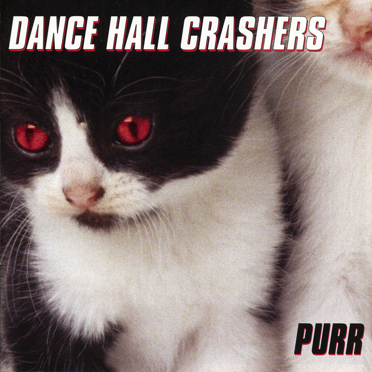 Album cover of Purr