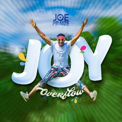 Cover of Joy Overflow