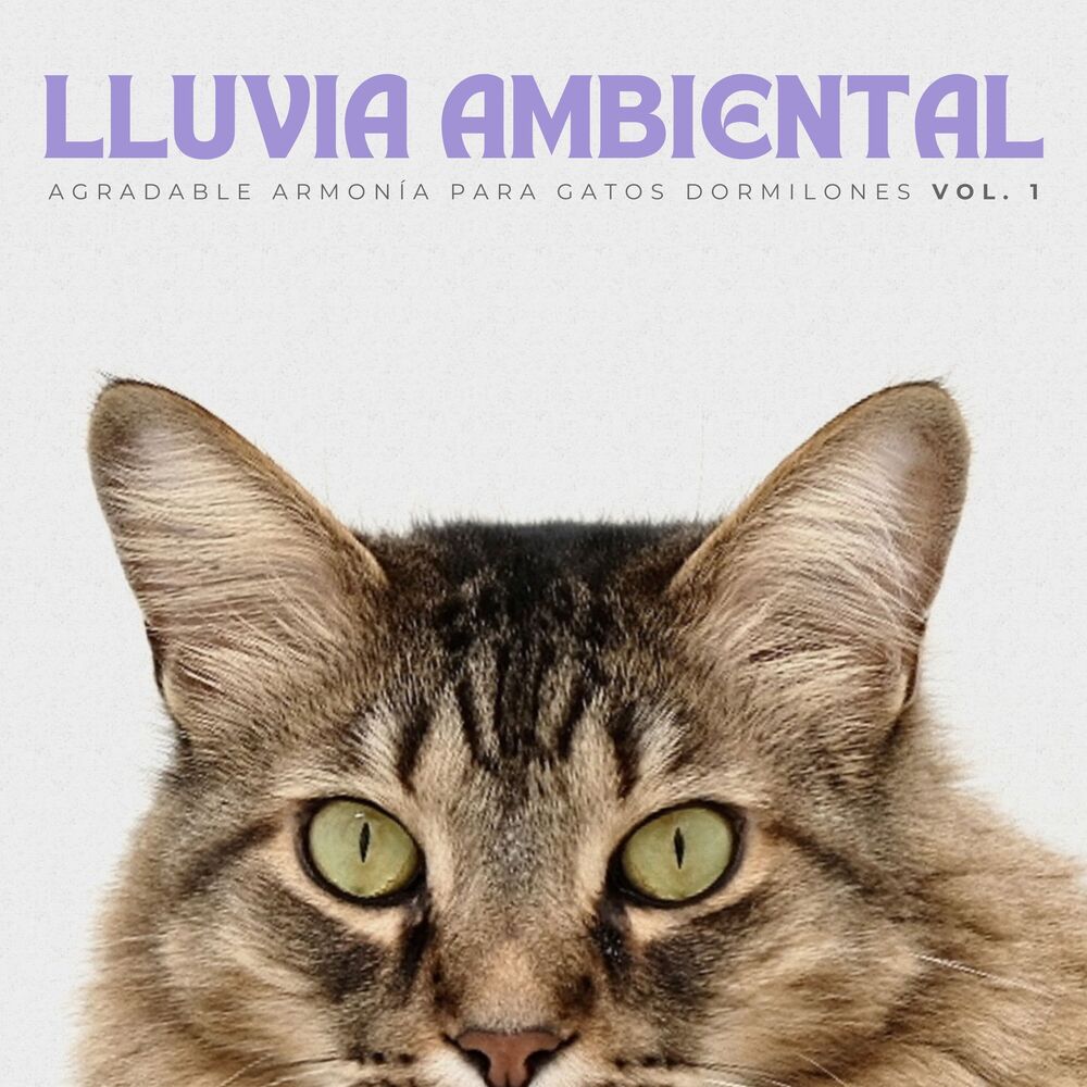 Picture of Lluvia Ambiental: Agradable Armonía Para Gatos Dormilones Vol. 1