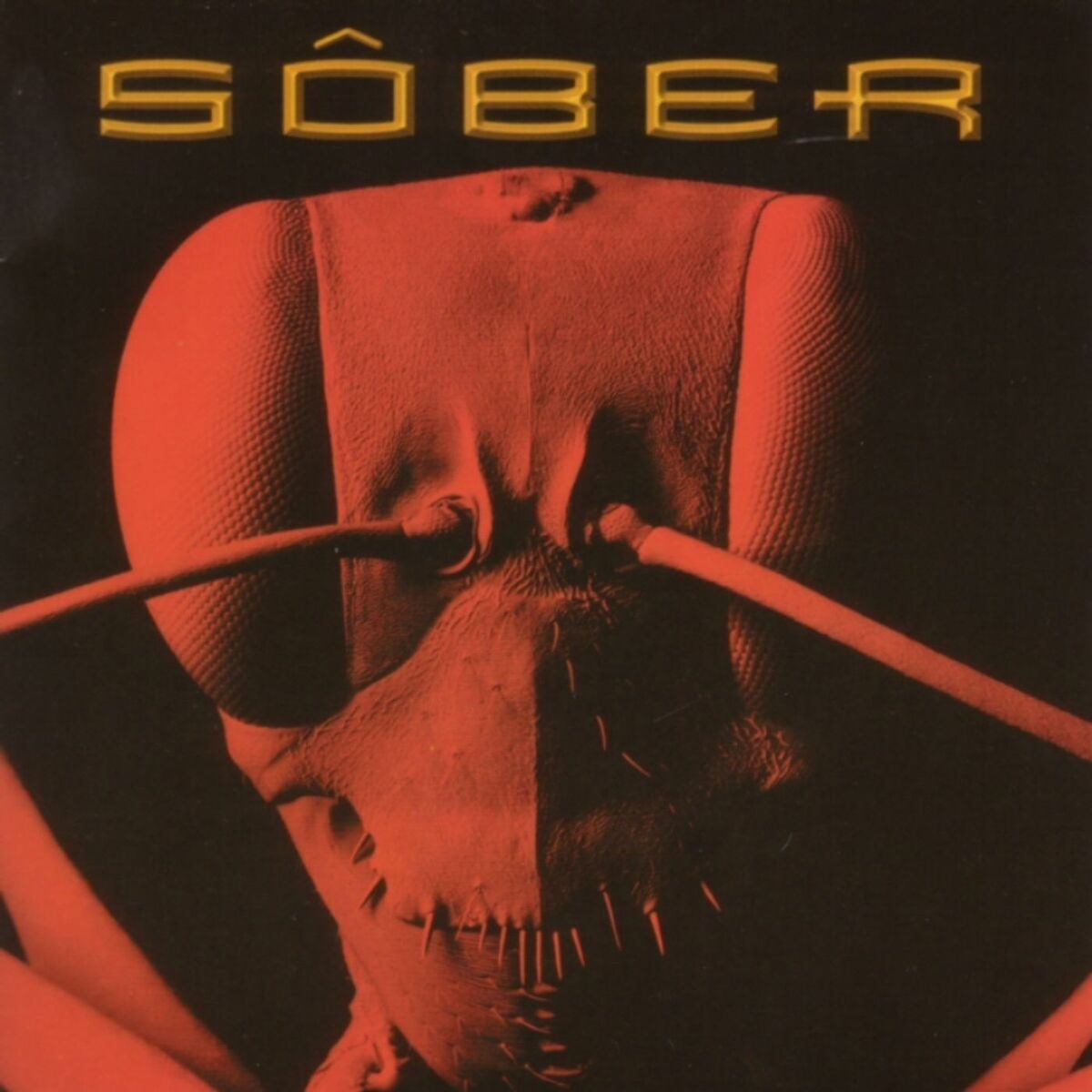 Album cover of Morfología