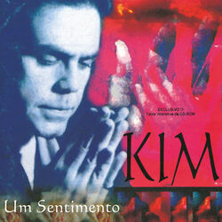 Cover of Um Sentimento