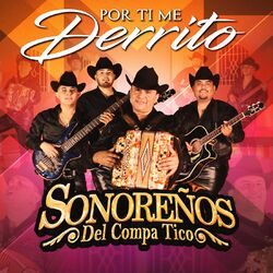 Cover of Por Ti Me Derrito (En Vivo)