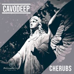 Cover of Cherubs