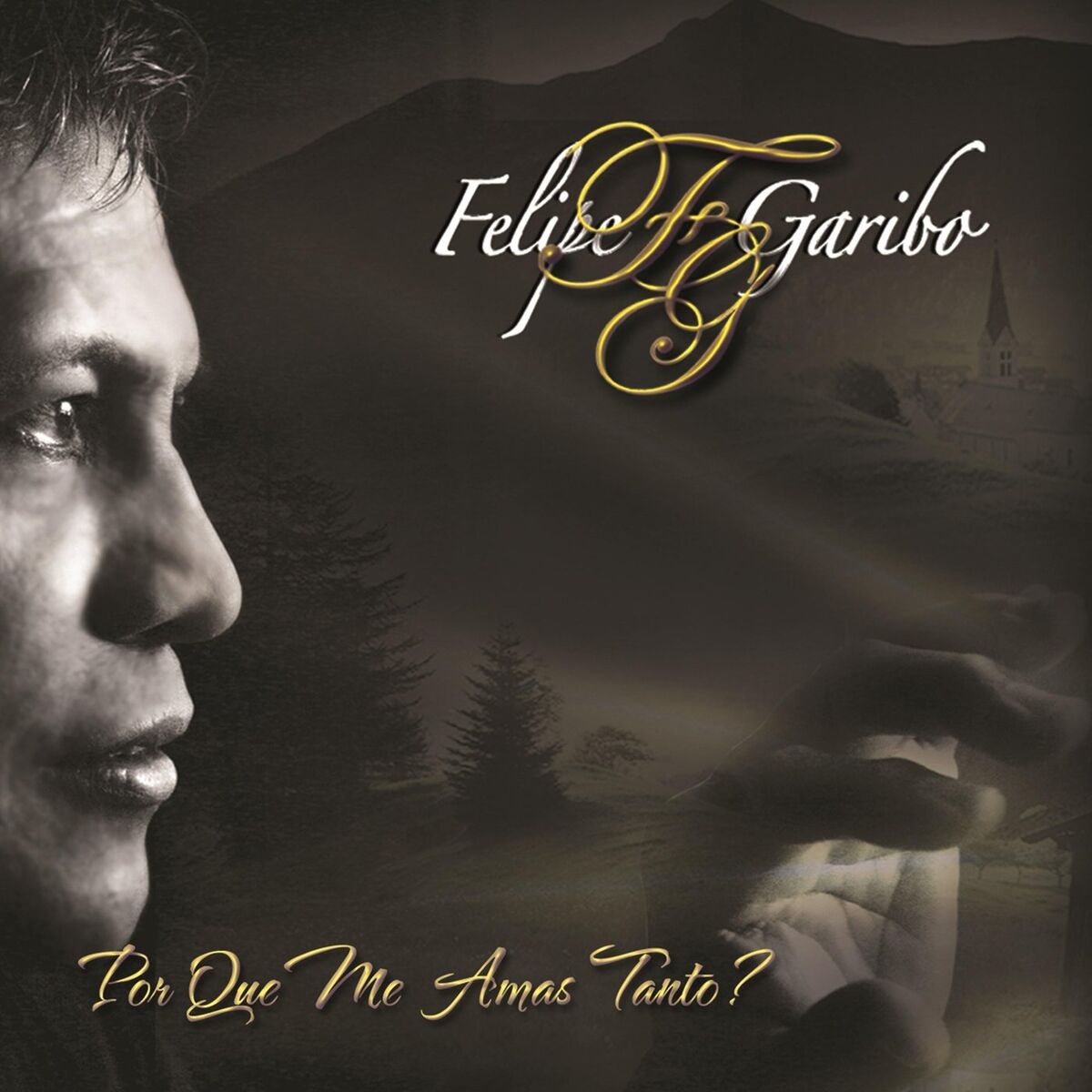 Album cover of No Temeré