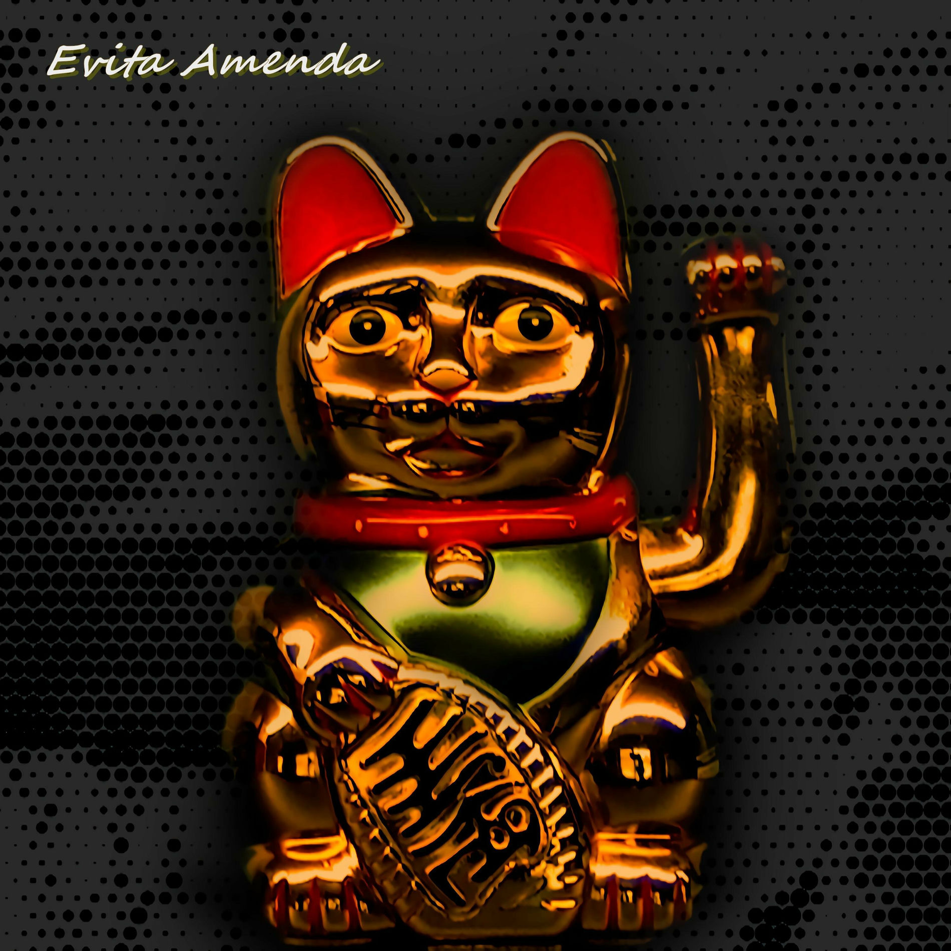 Album cover of Evita Amenda