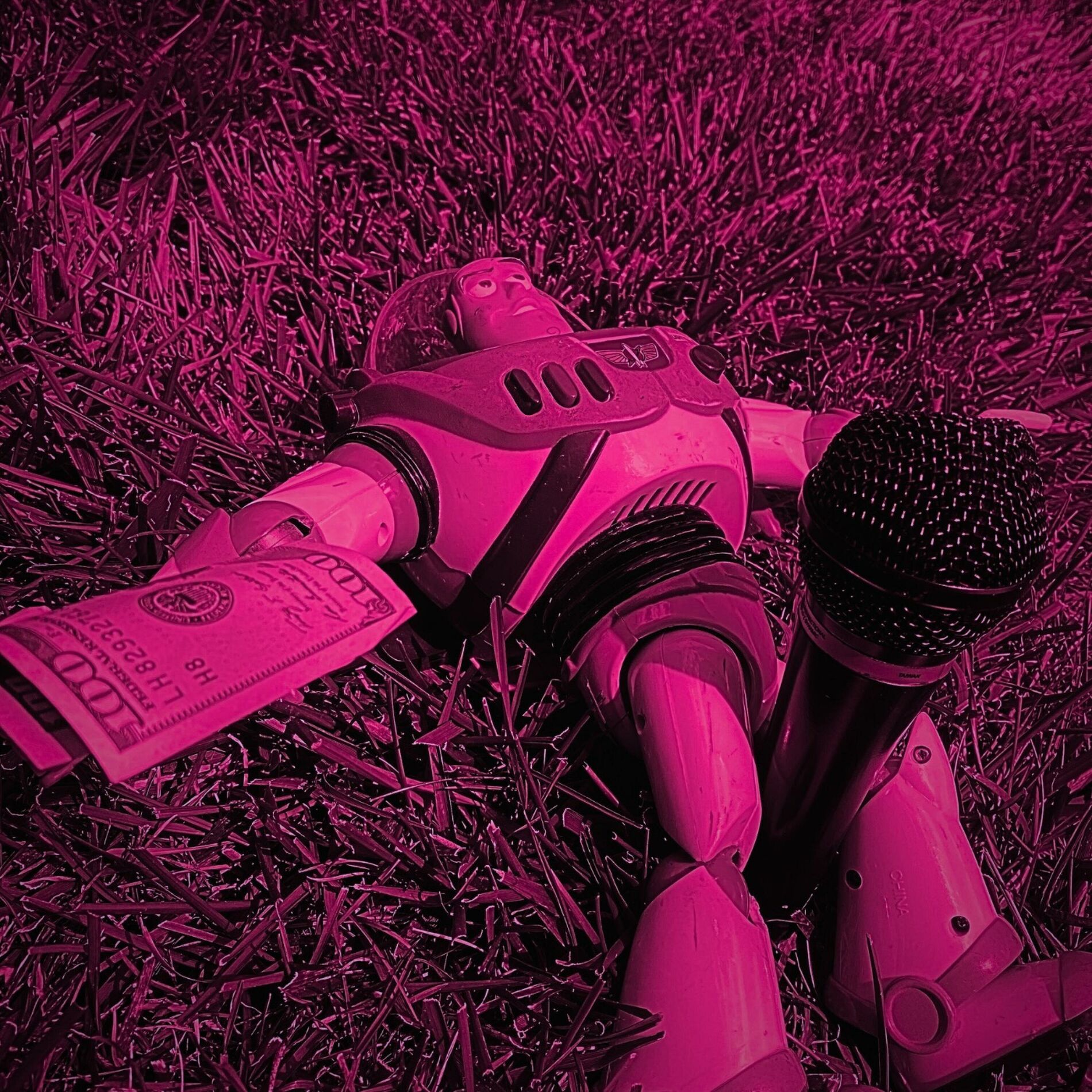 Album cover of SCHLANGIN'