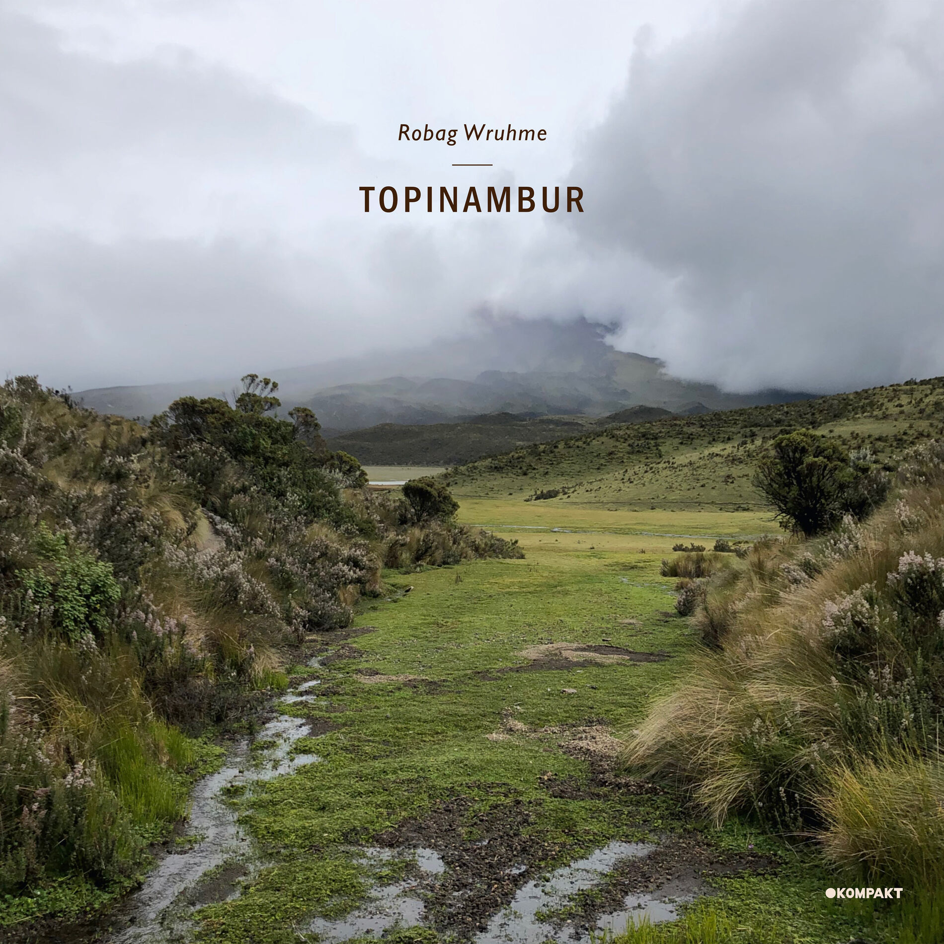 Album cover of Topinambur