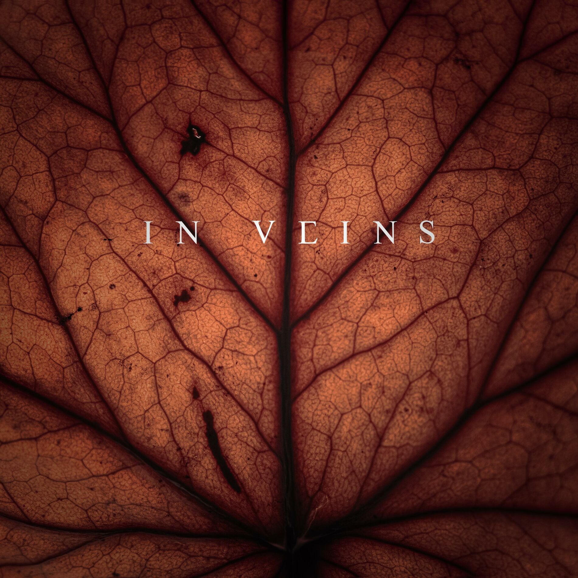 Album cover of In veins