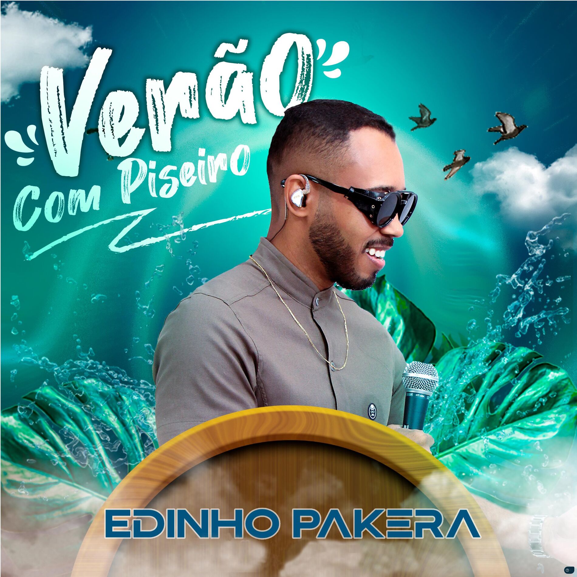 Album cover of Verão Com Piseiro