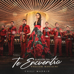 Cover of Si Algún Día Te Encuentro (Versión Mariachi)