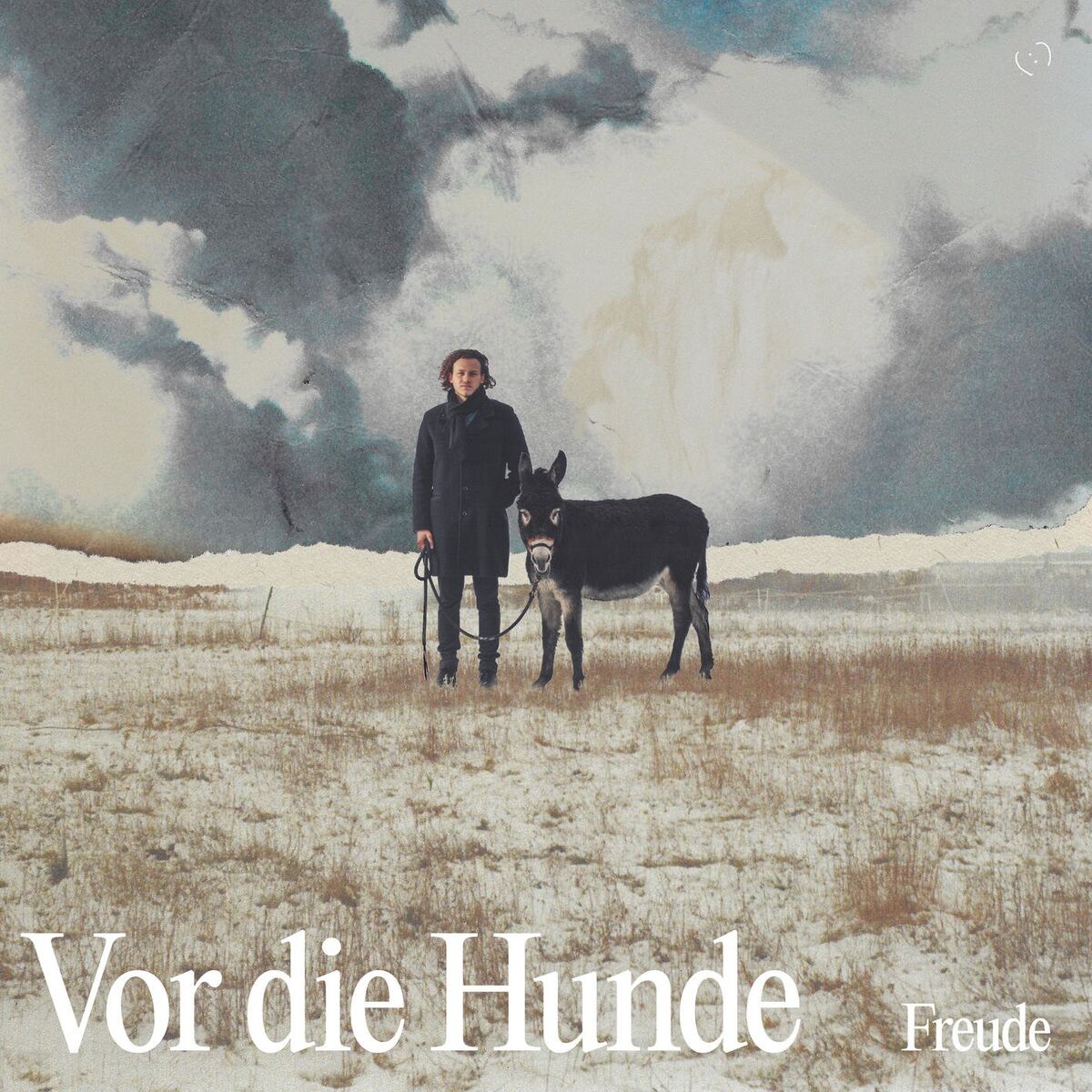 Album cover of Vor die Hunde