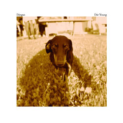 Cover of Die Young