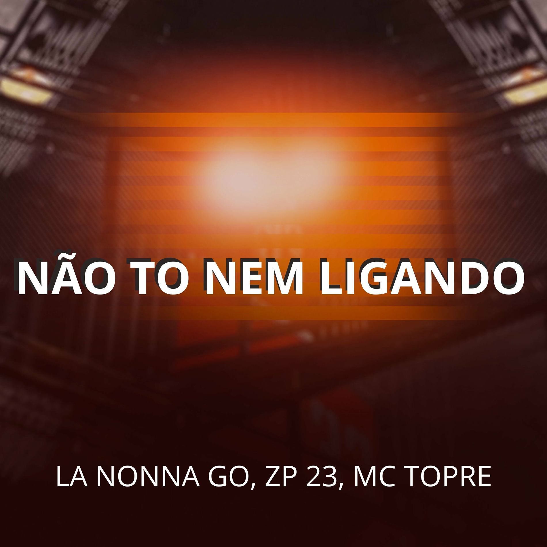 Album cover of Não to Nem Ligando