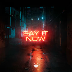 Cover of Say It Now