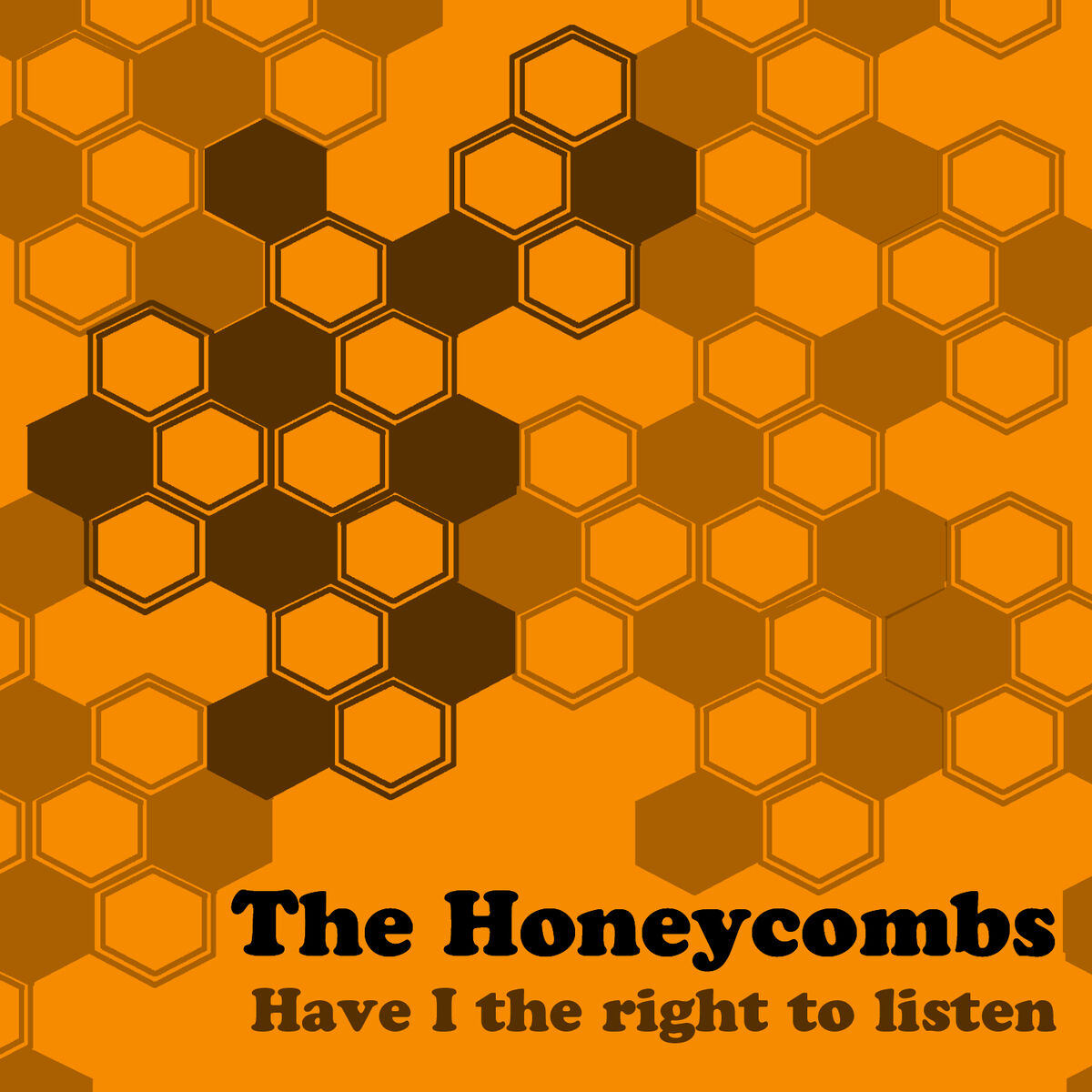 Album cover of Have I the Right to Listen