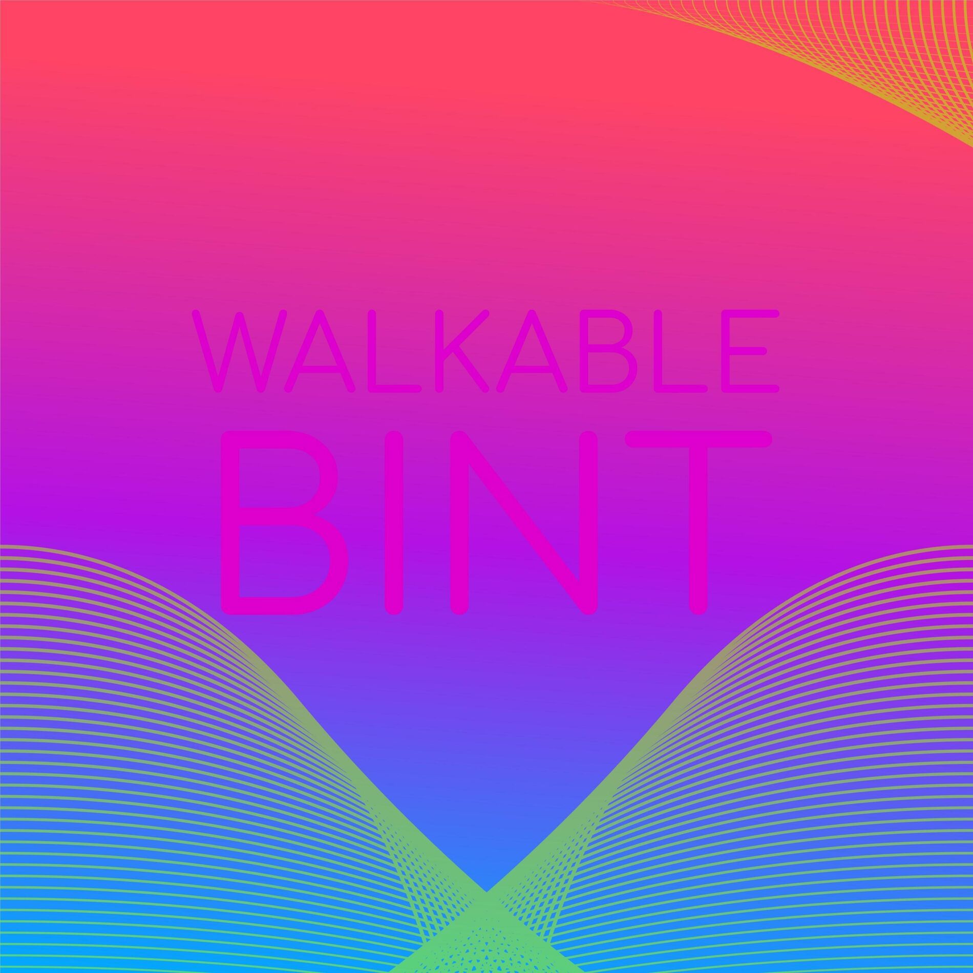 Album cover of Walkable Bint