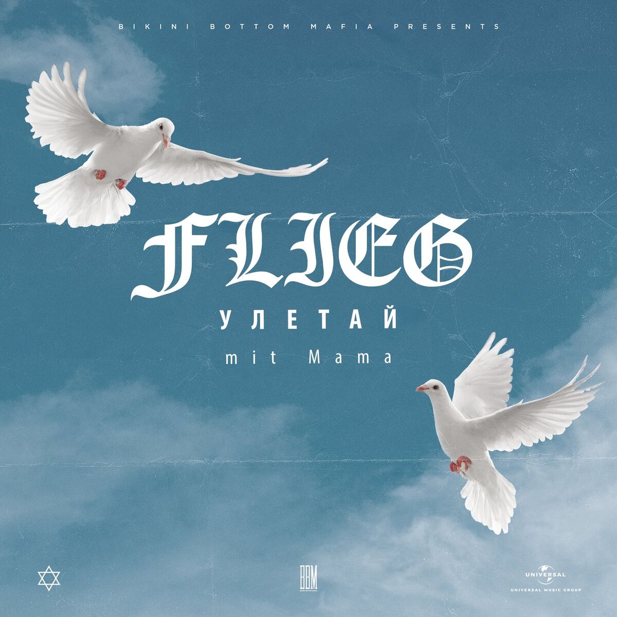 Album cover of Flieg (Uletaj) Mit Mama