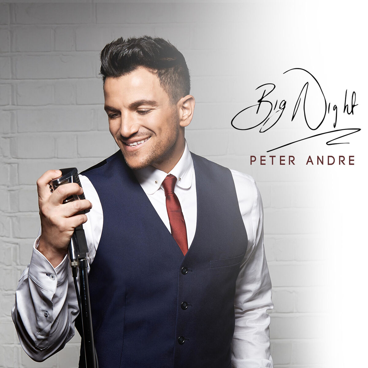 Album cover of Big Night