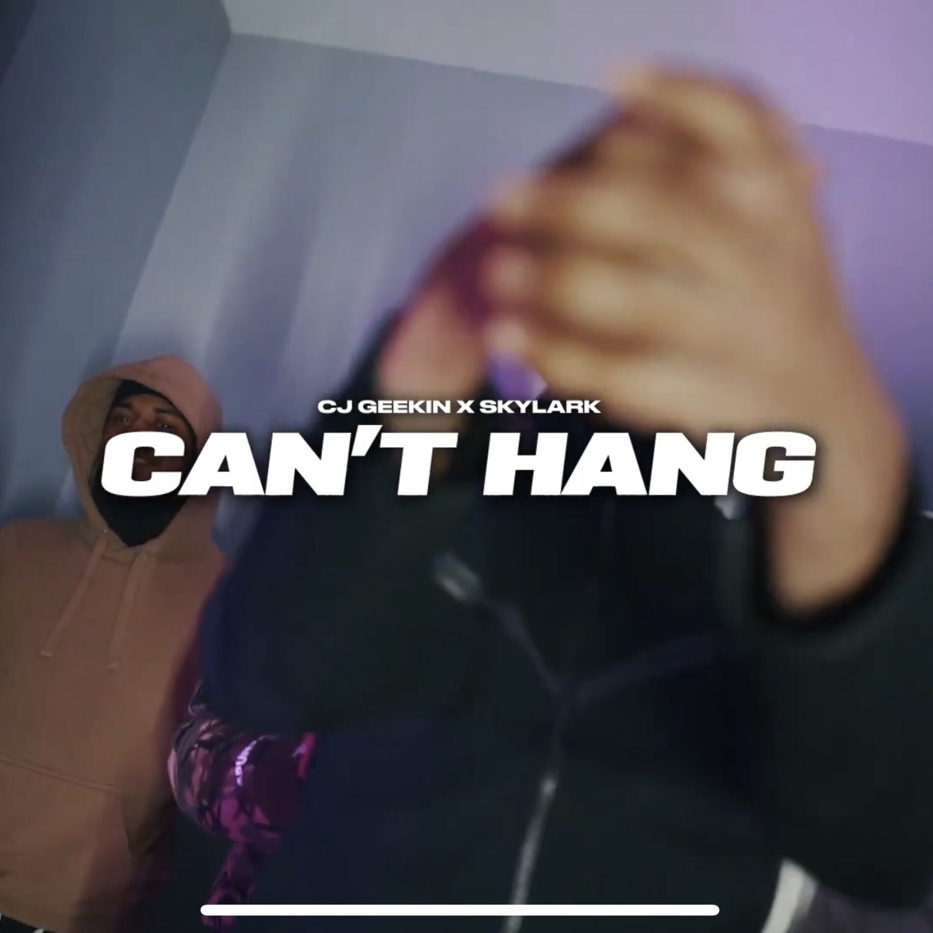 Album cover of Can't Hang (feat. Skylark)