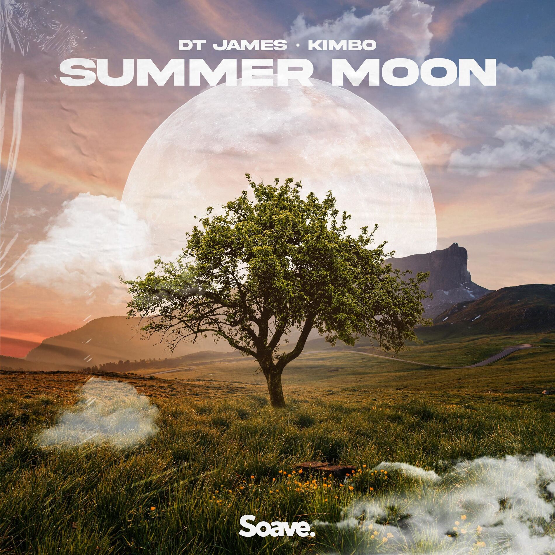 Album cover of Summer Moon