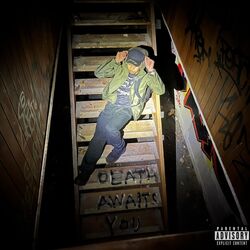 Cover of death awaits you