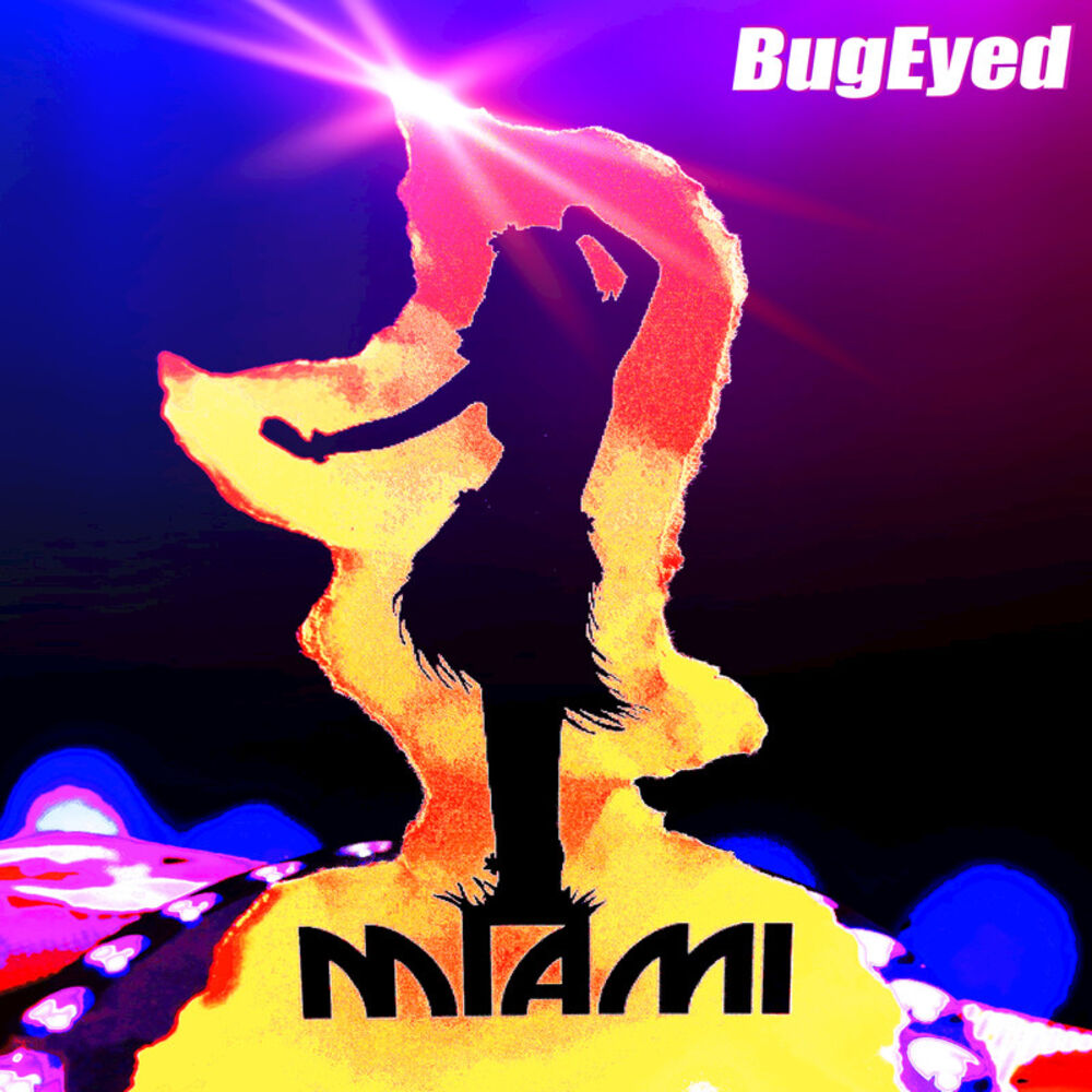 Picture of Miami 2016