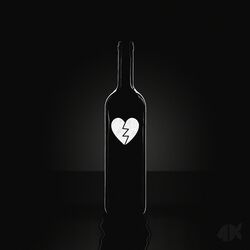Cover of La Botella