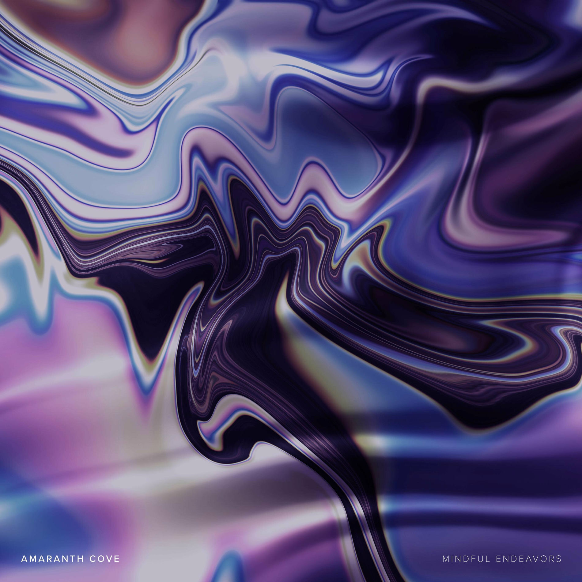 Album cover of Mindful Endeavors