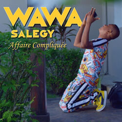 Cover of Affaire compliquée