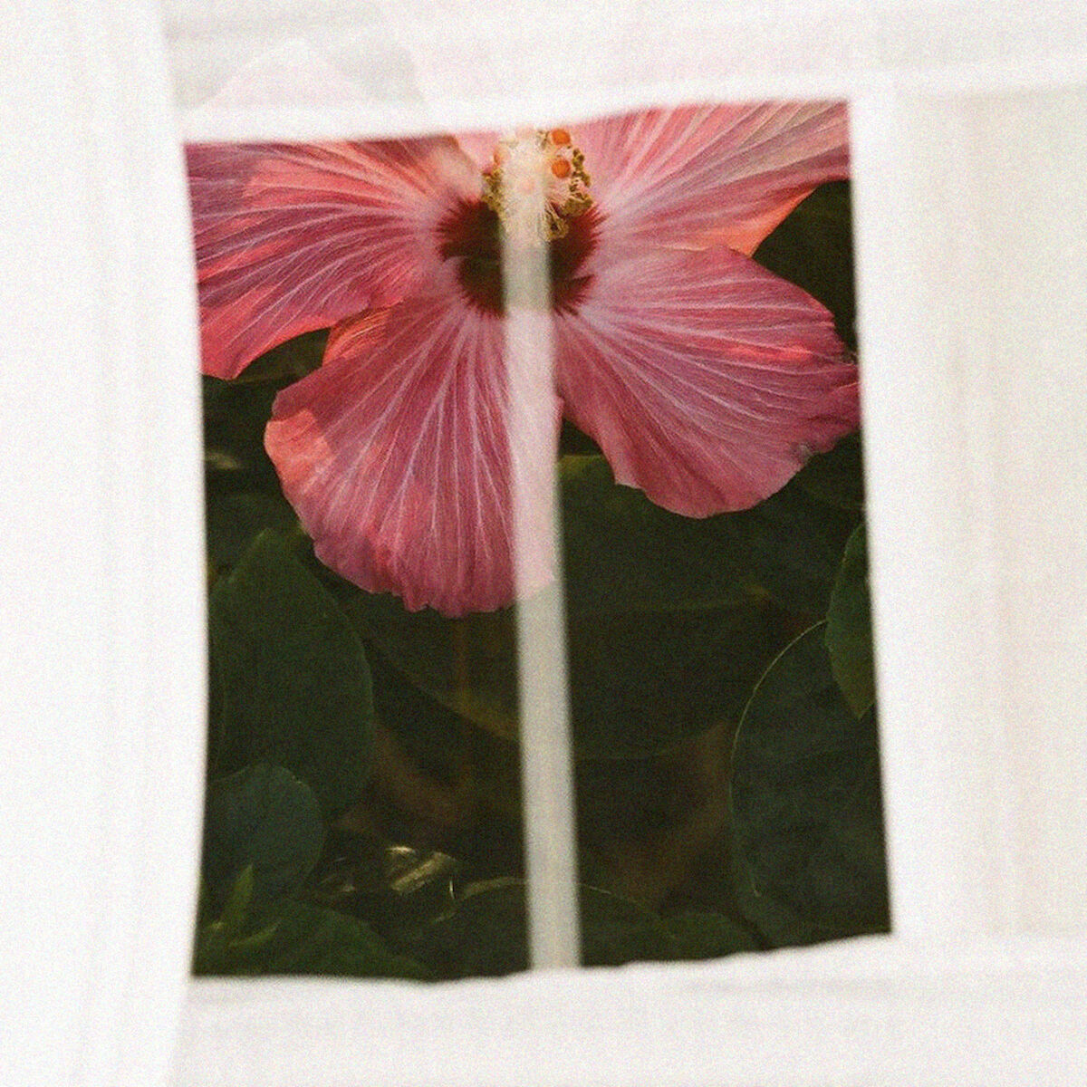 Album cover of Pass The Hours