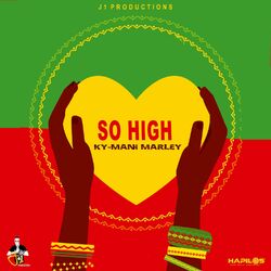 Cover of So High