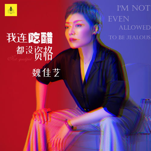 我连吃醋都没资格 (DJ版)