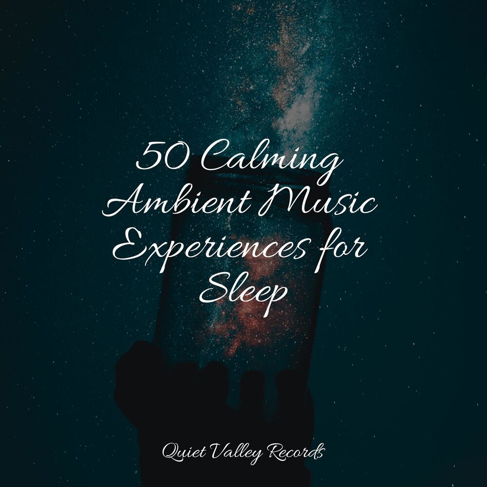 Picture of 50 Calming Ambient Music Experiences for Sleep
