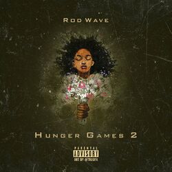Cover of Hunger Games 2
