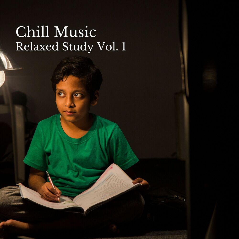 Picture of Chill Music: Relaxed Study Vol. 1
