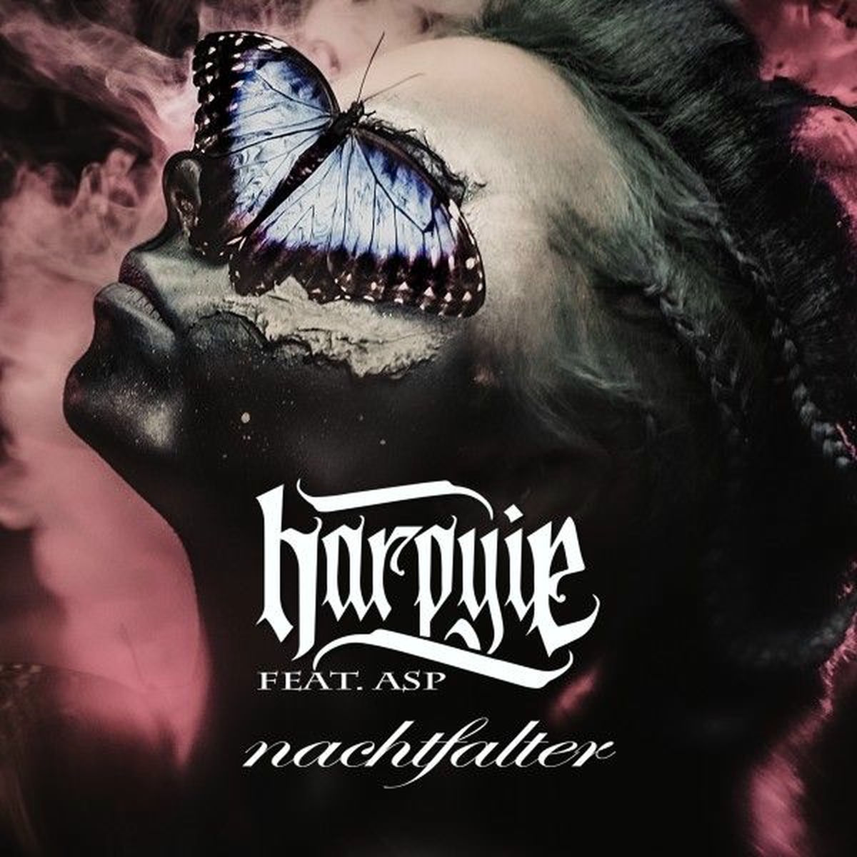 Album cover of Nachtfalter