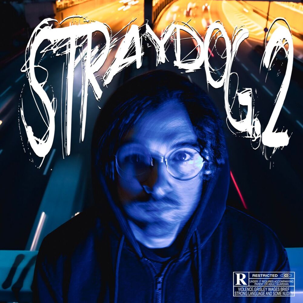 Picture of STRAYDOG.2