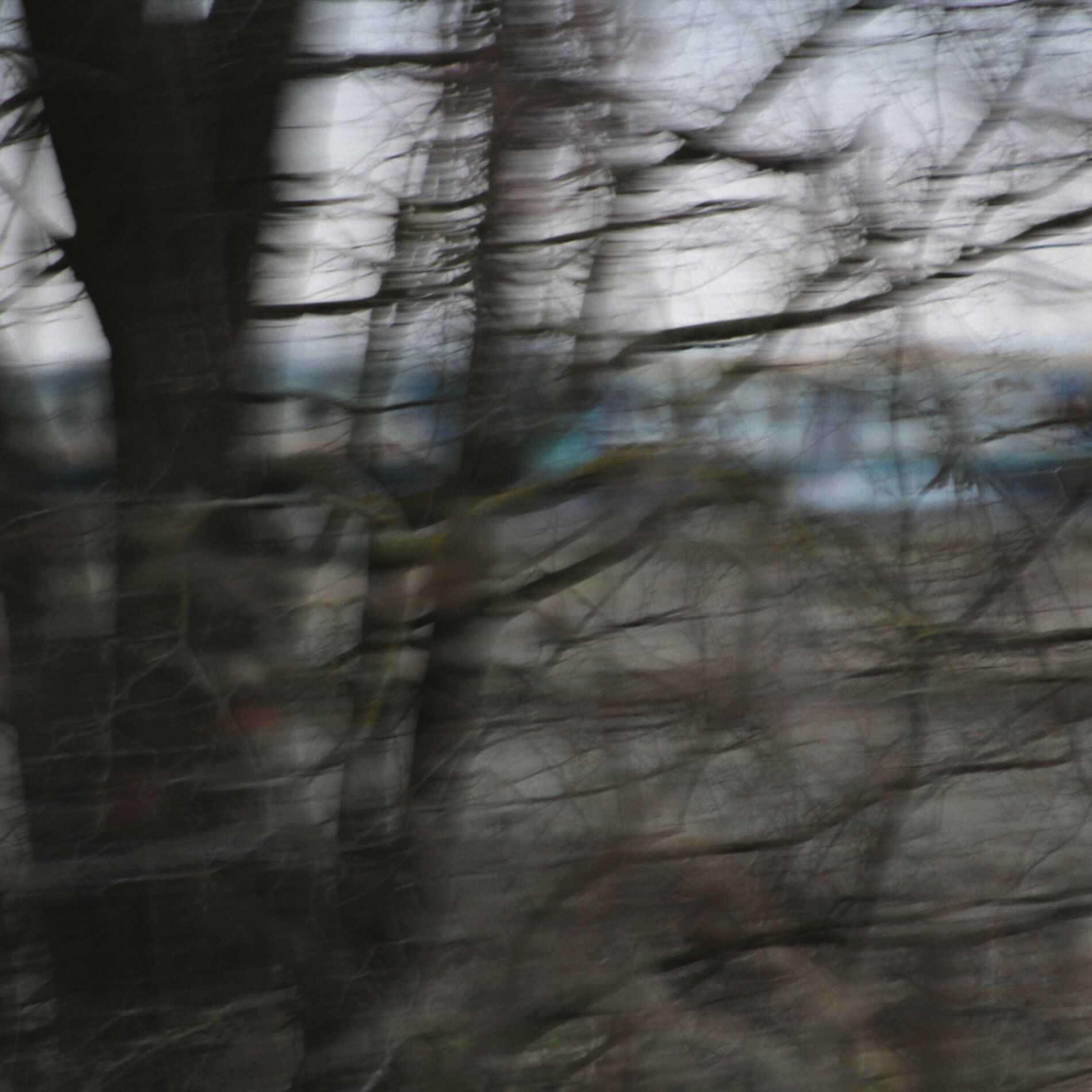 Album cover of cold days