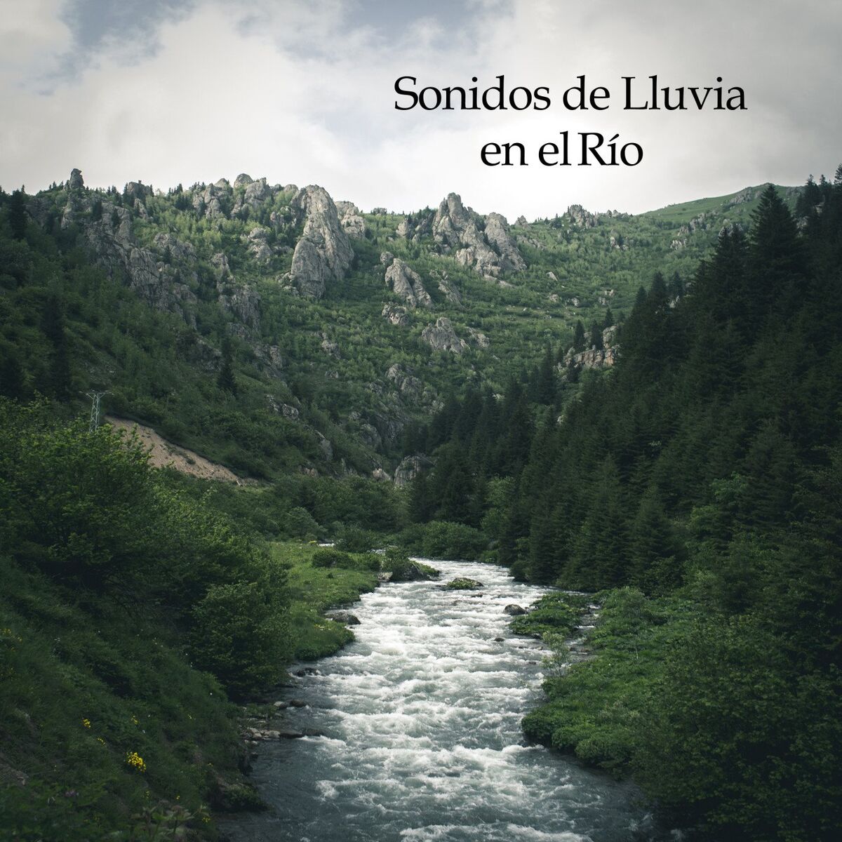 Album cover of Sonidos de Lluvia en el Río