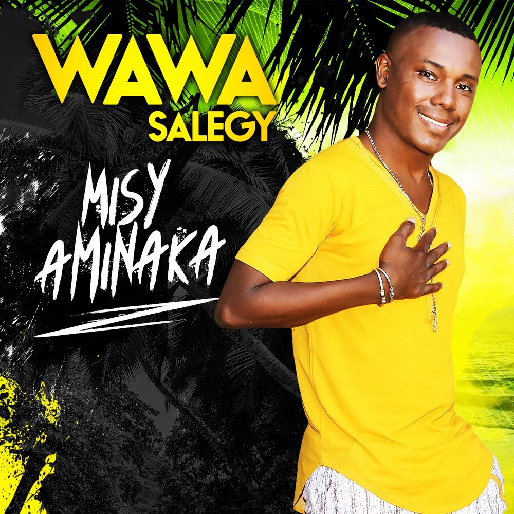 Picture of Misy Aminaka