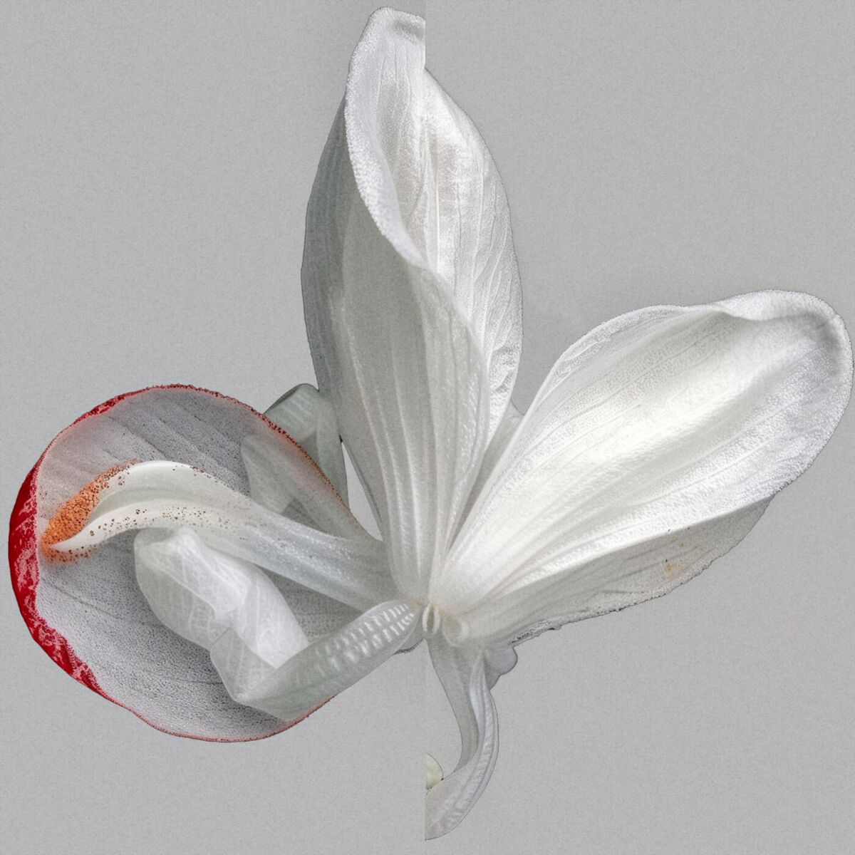 Album cover of In Your Arms
