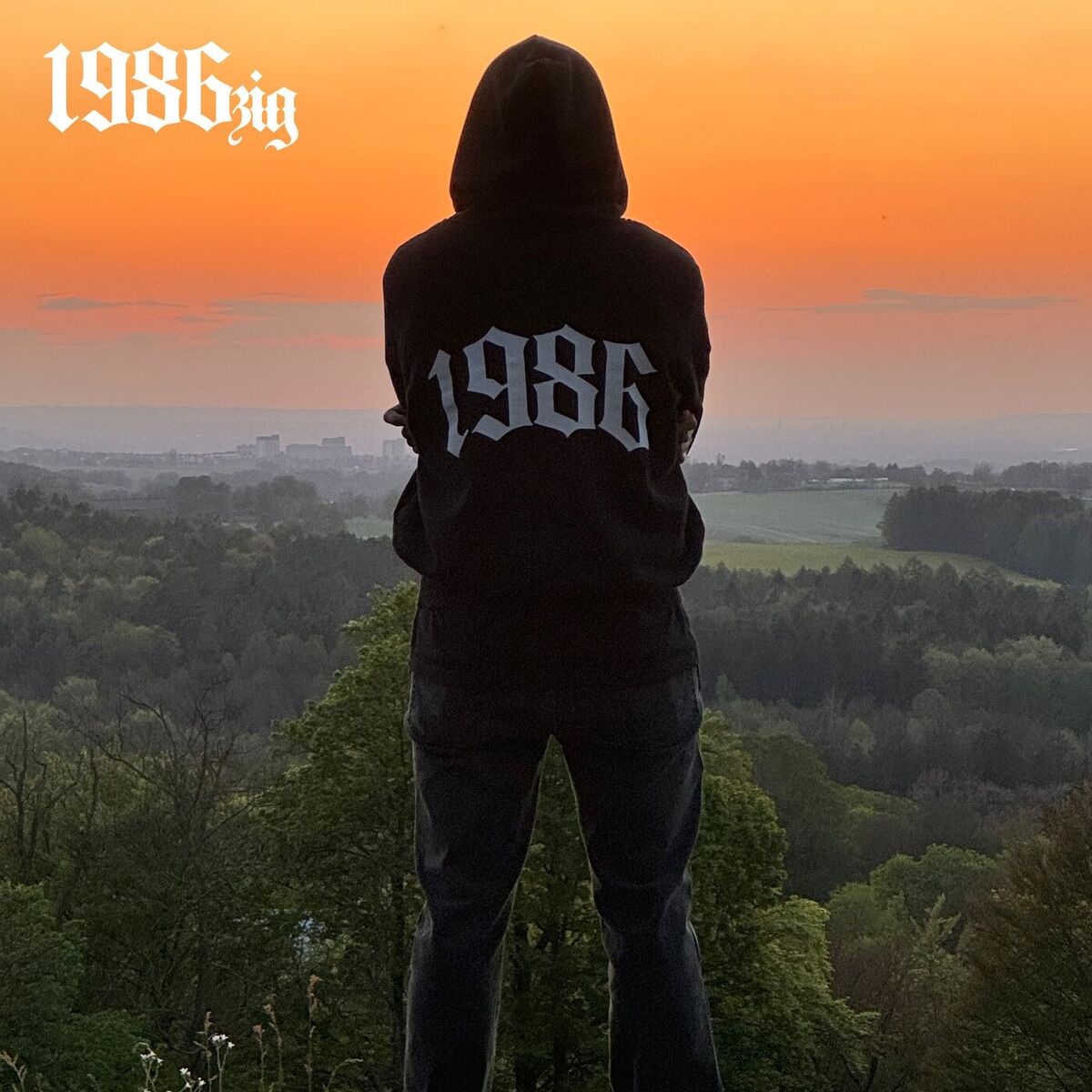 Album cover of Du hältst mich wach