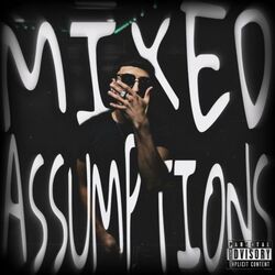 Cover of Mixed Assumptions