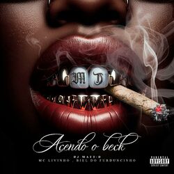 Cover of Acendo O Beck