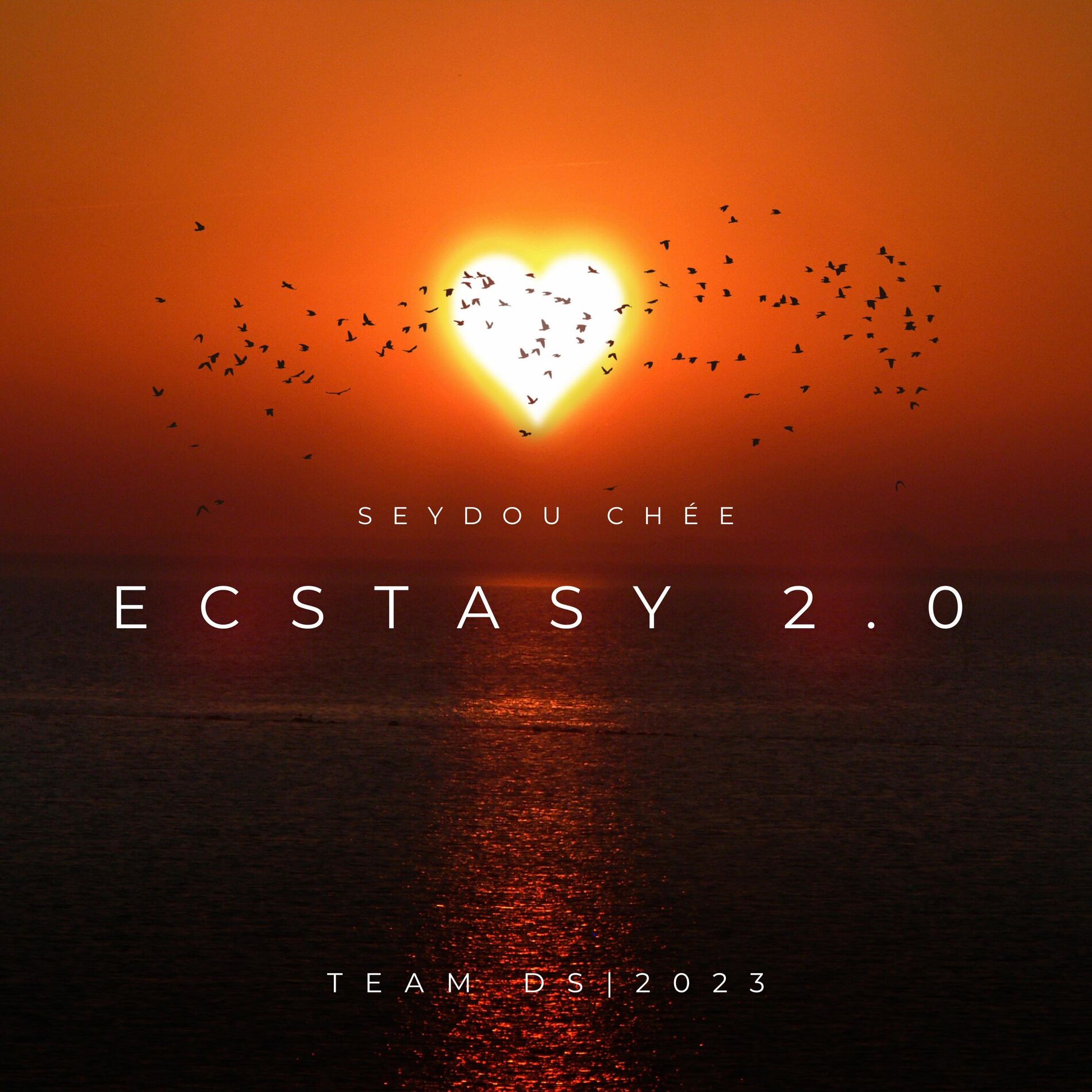 Album cover of Ecstasy 2.0
